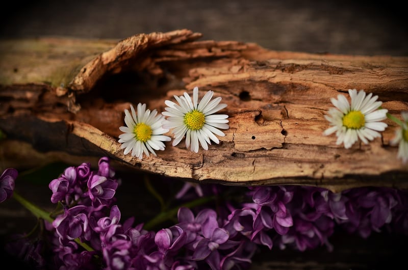 Woodland Table Setting